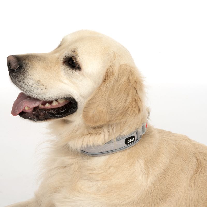 TIAKI Halsband Soft & Safe, grau zu TOP-Preisen