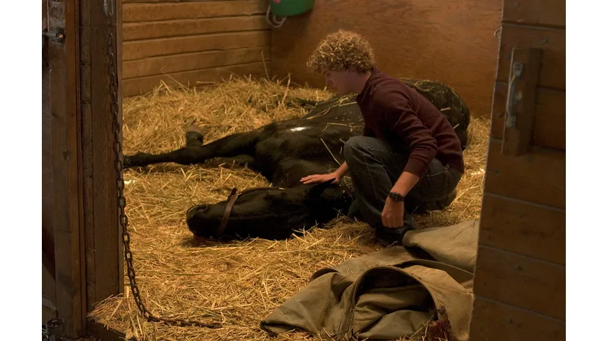 Black Beauty - Die Legende lebt weiter