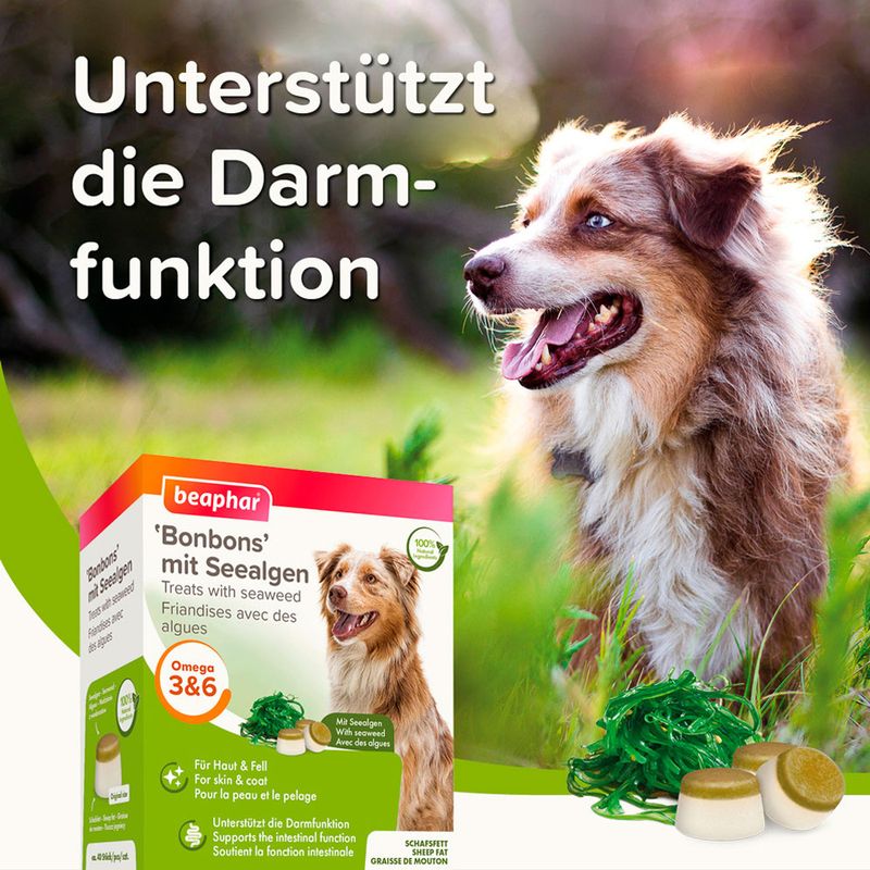 Beaphar 'Bonbons' mit Seealgen