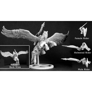 Barros & Tempest, Paladin on Pegasus (REA03096)