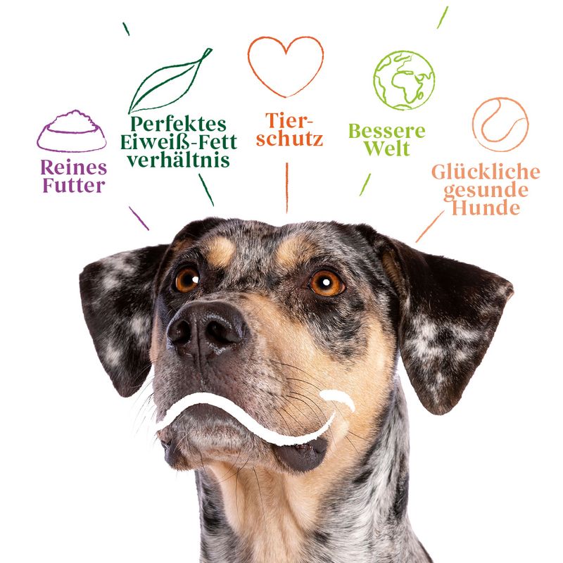 Yarrah Bio Ökologisches Hundefutter Vega Getreidefrei