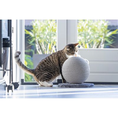 Karlie Kratzball Bolly