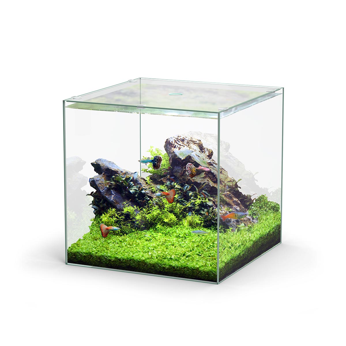 Aquatlantis Aquarium Set Kubus LED günstig kaufen