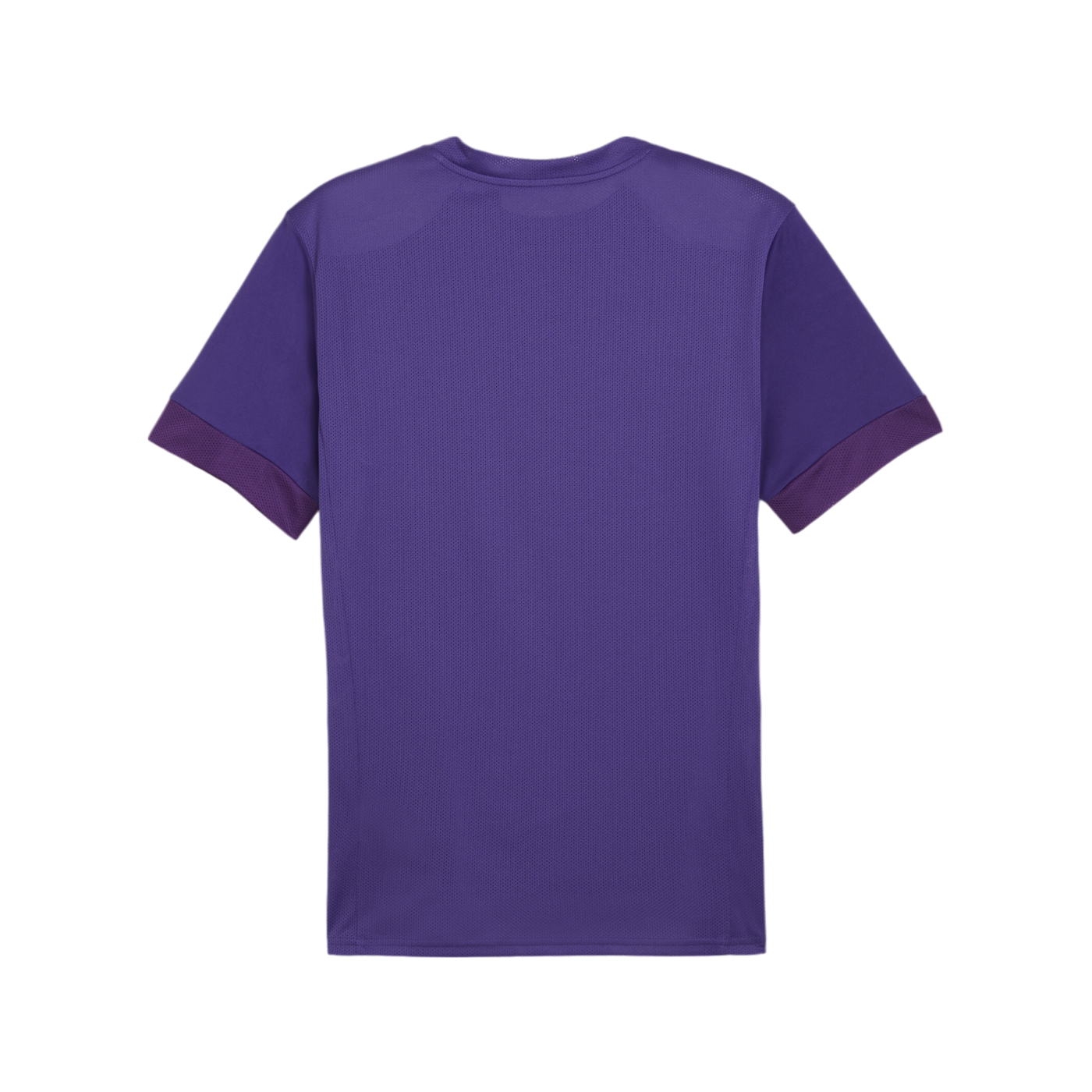 PUMA teamGOAL Matchday Trikot Lila Weiss F10