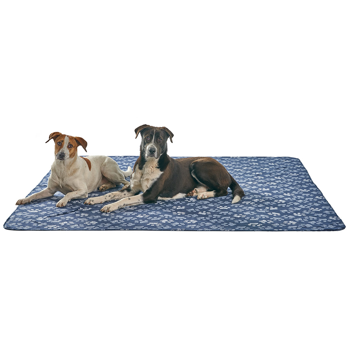 ZooRoyal Kuscheldecke 200x220 cm günstig kaufen