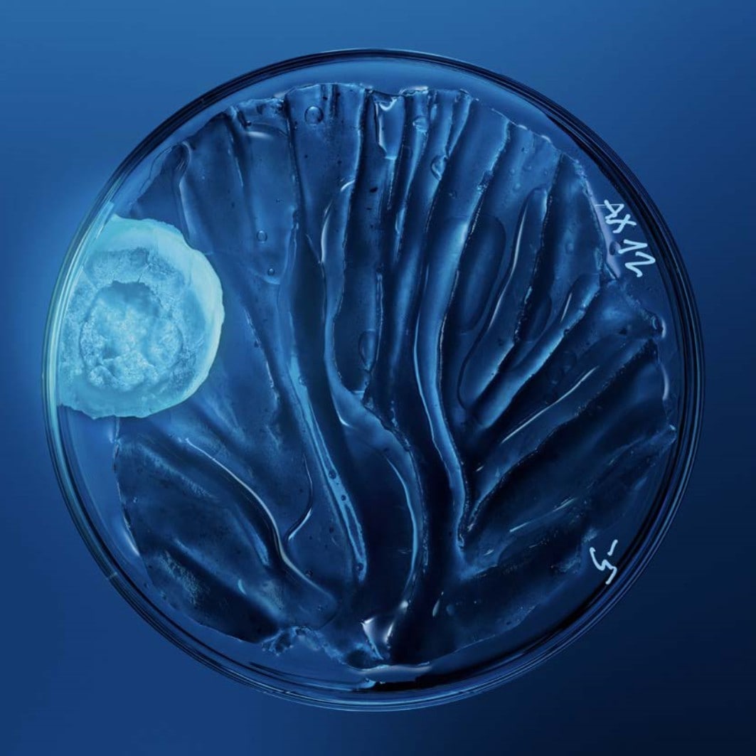 Gel