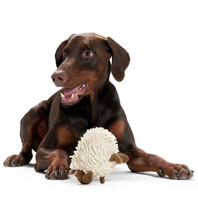 HUNTER Hundespielzeug Snugly Schaf