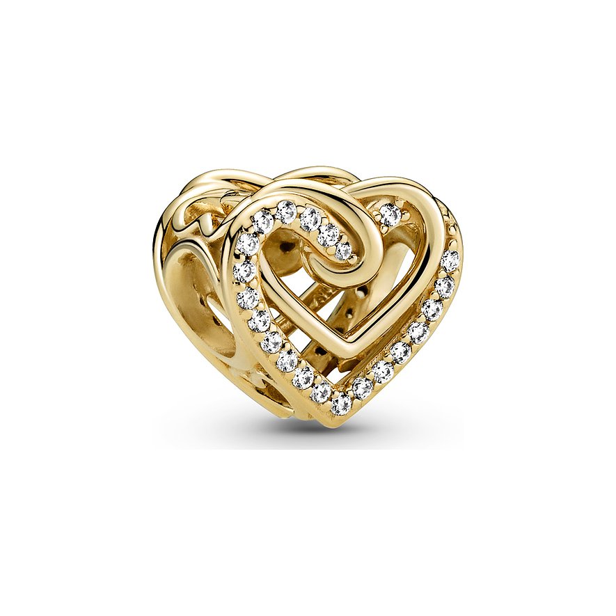 Pandora Charm Moments