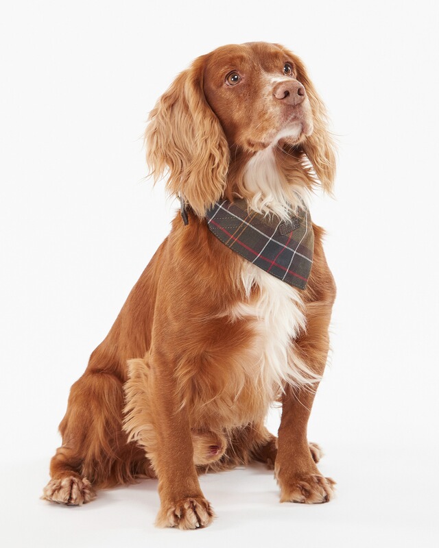 Barbour Barbour Hundehalstuch