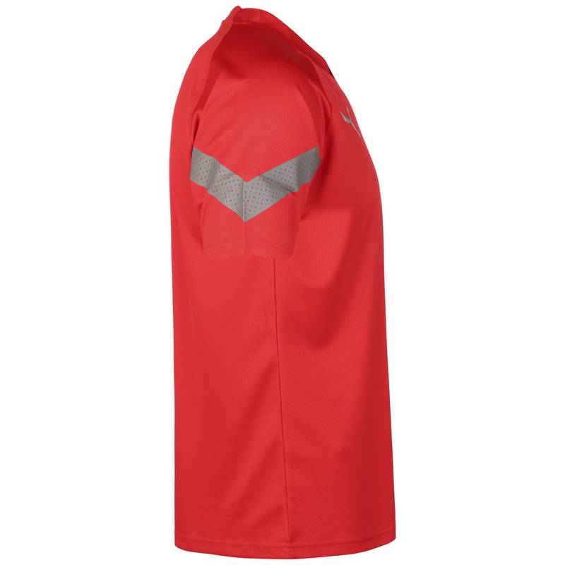 PUMA teamFinal Training Trikot Herren