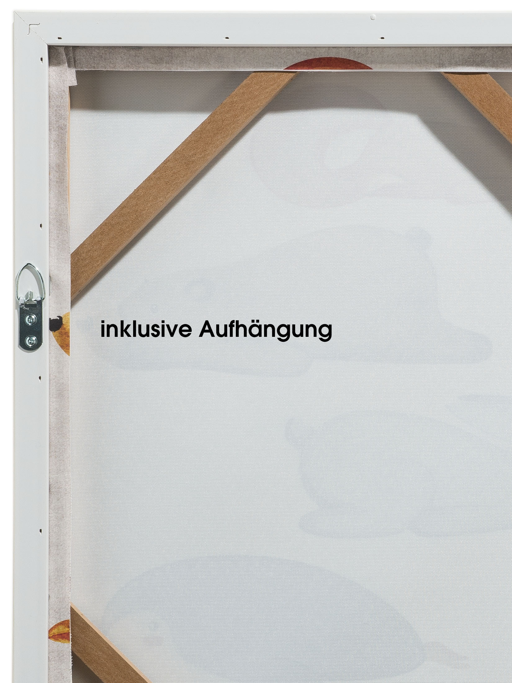 Funny Animals Leinwand-Druck-gerahmt, Multicolor
