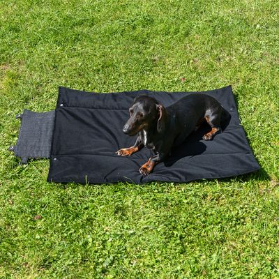Nomad Tales Reise-Hundematte Ebony