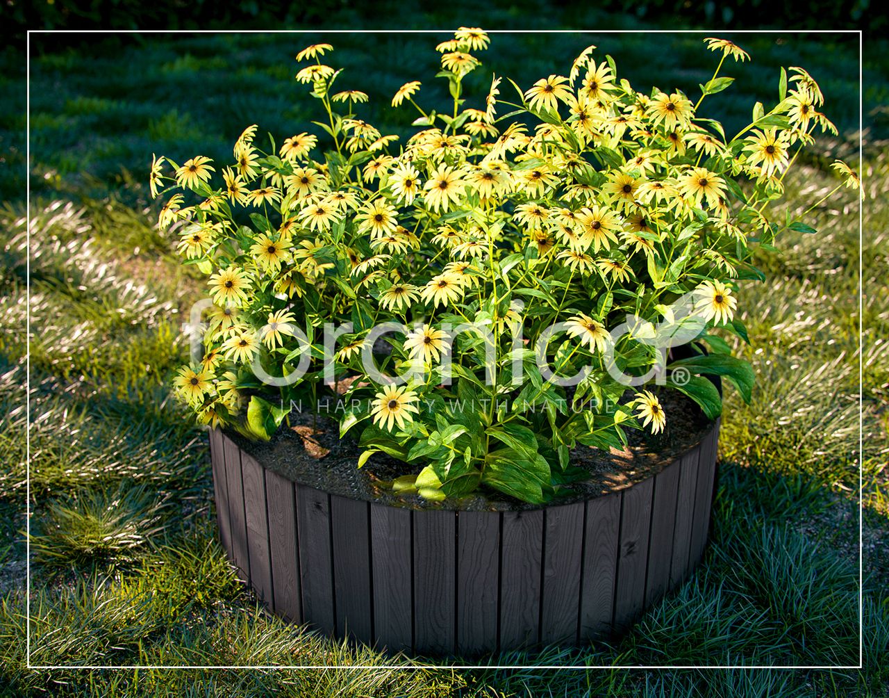 Pemicont Floranica Rollborder II Flexibler Holzzaun 203cm Höhe: 10cm Anthrazit Imprägniert Kiefernholz Beeteinfassung Rasenkante Palisade Umzäunung für Obstgärten Beete Wege