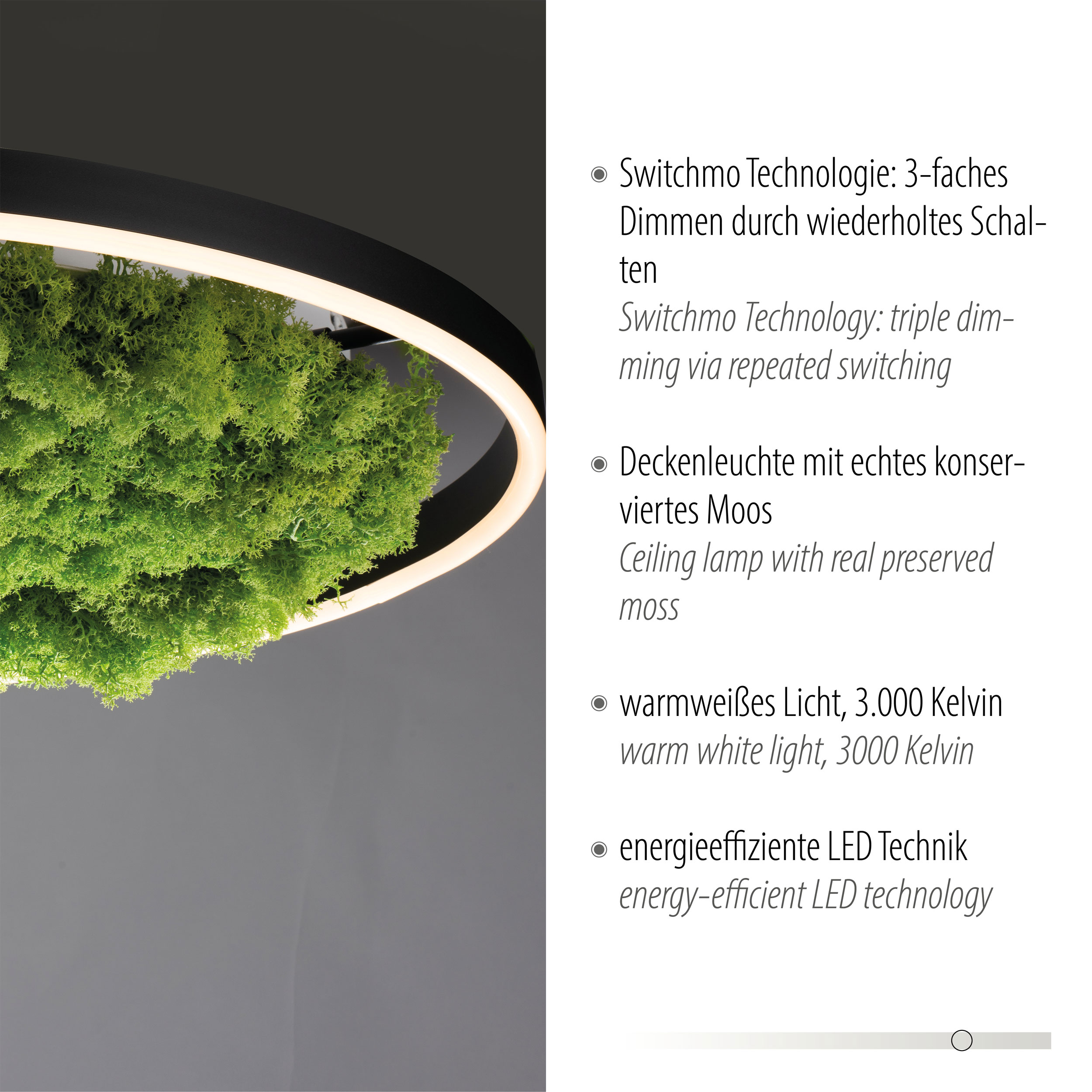 JUST LIGHT.LED-Deckenleuchte 1flg