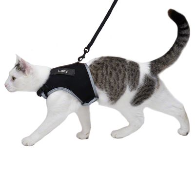 Trixie Katzengeschirr XCat XL mit Sticker und Leine