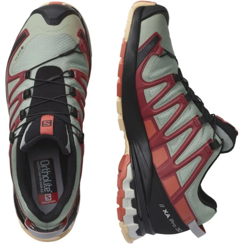 Salomon XA Pro 3D v8 GTX L41629400 / grau