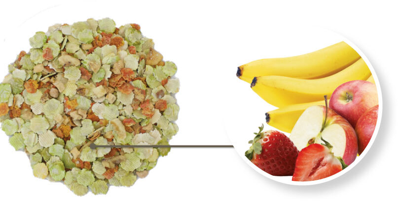 BLUE TREE Ergänzungsfutter & Aufzucht BLUE TREE Wellness Flakes 650g mit Früchten