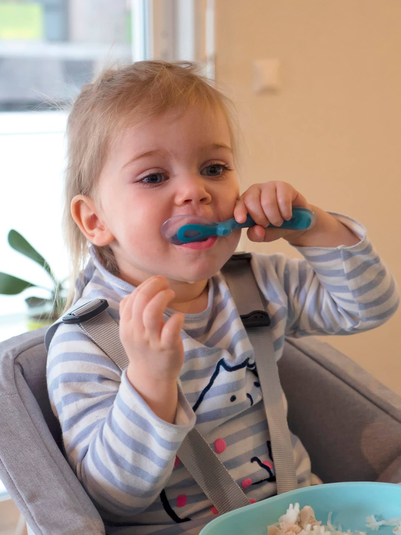 Beaba Baby Esslern-Teller mit Saugnapf BEABA - blau