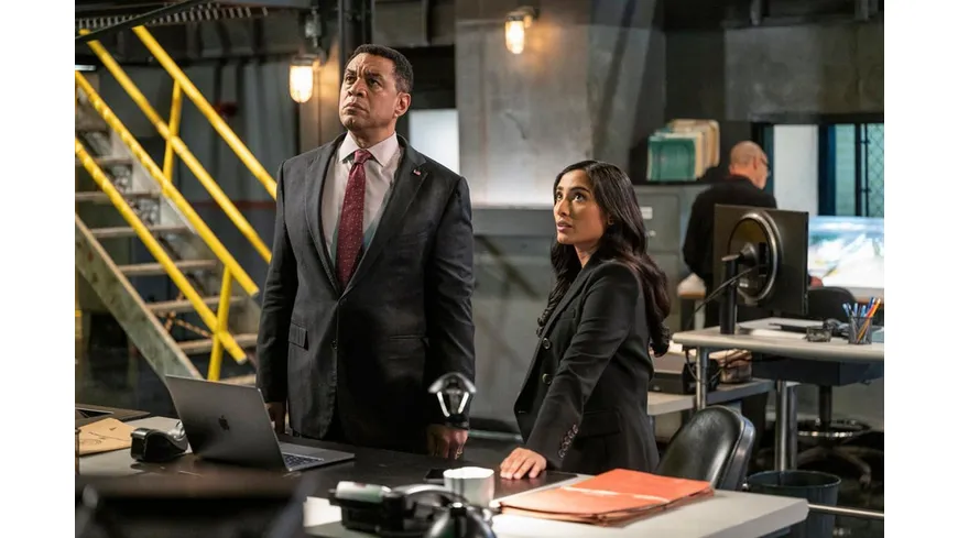 The Blacklist - Season 10  [6 DVDs]