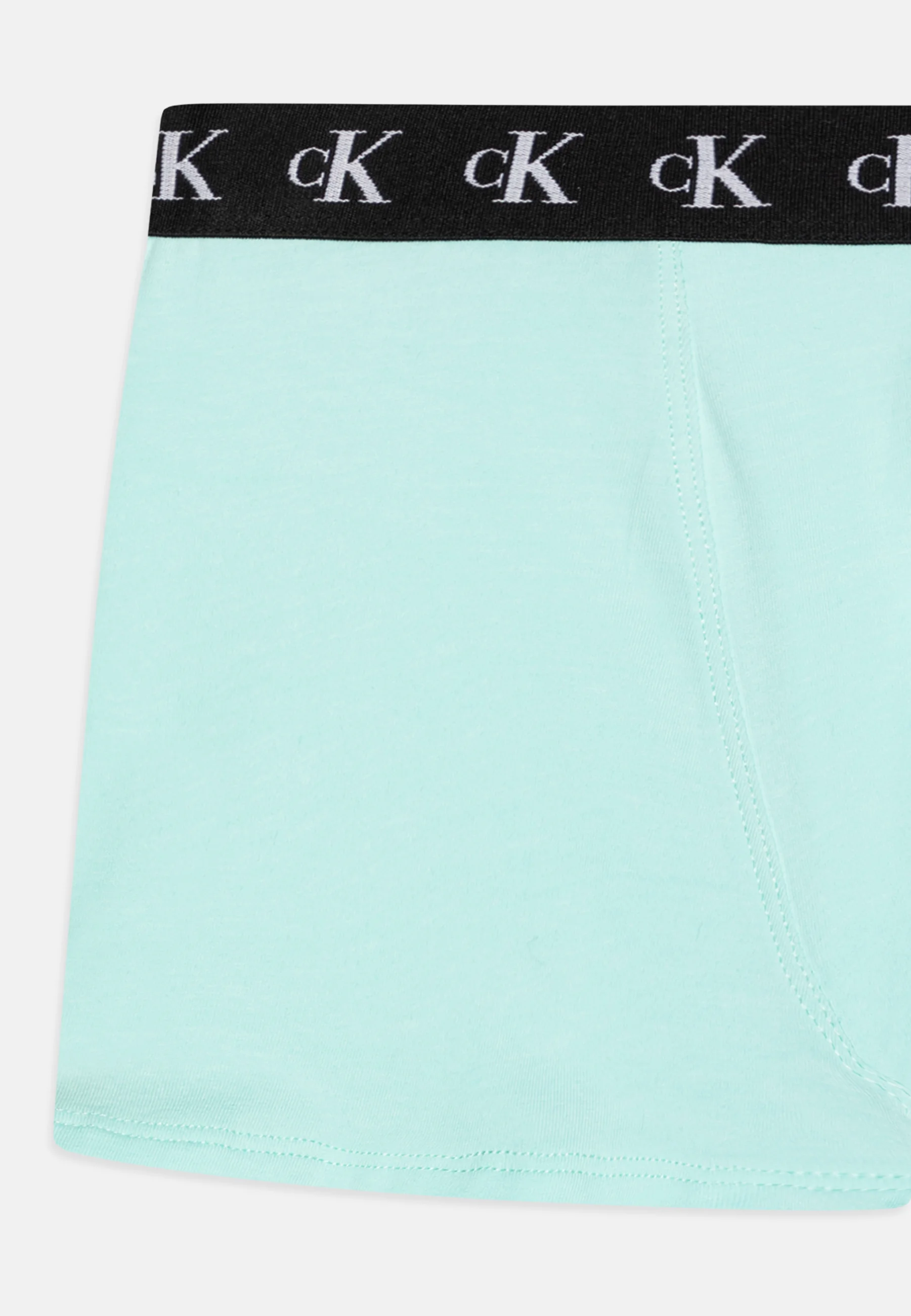 Calvin Klein Underwear TRUNK PACK DE 3 - Culotte