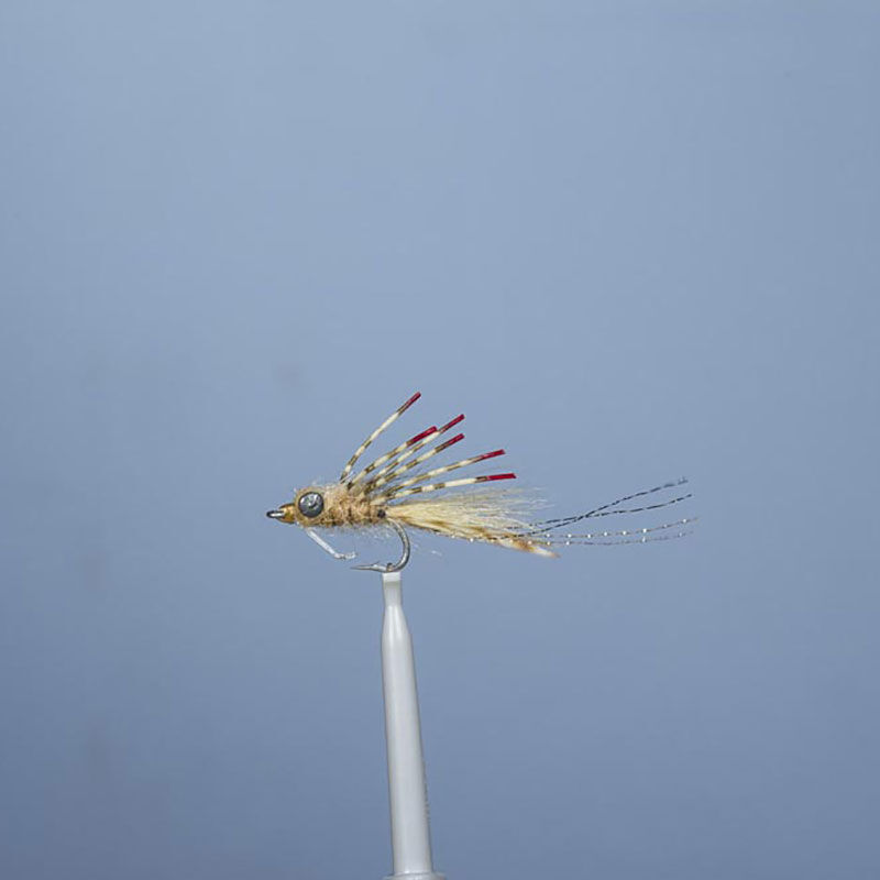 Streamer jmc bone 10 h6