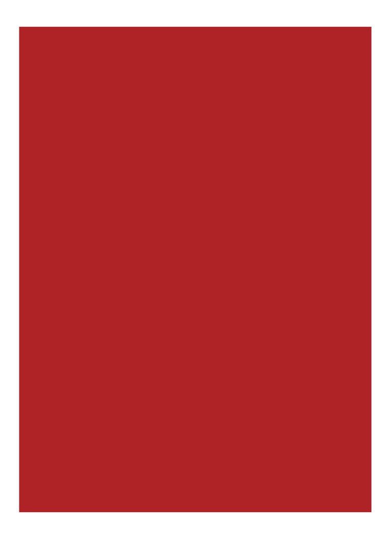 Rujul Yves Saint Laurent Rouge Pur Couture