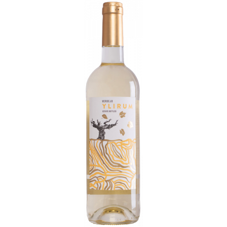 YLIRUM VERDEJO 2021 - VEGA DEMARA