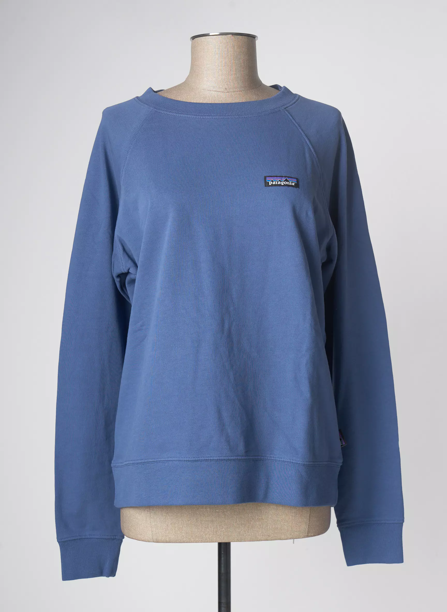 Patagonia Sweats Femme couleur bleu
