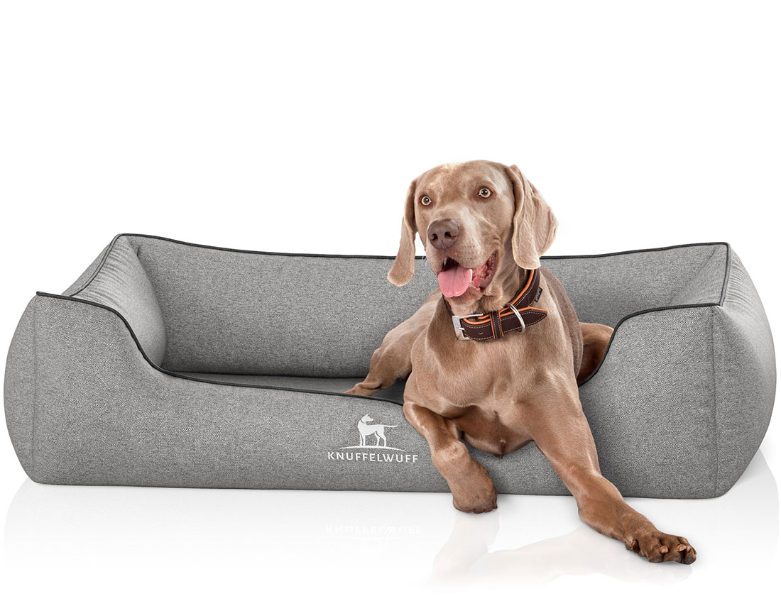 Knuffelwuff Hundebetten Knuffelwuff Orthopädisches Hundebett Amelie aus Velours mit Handwebcharakter grau XXXL