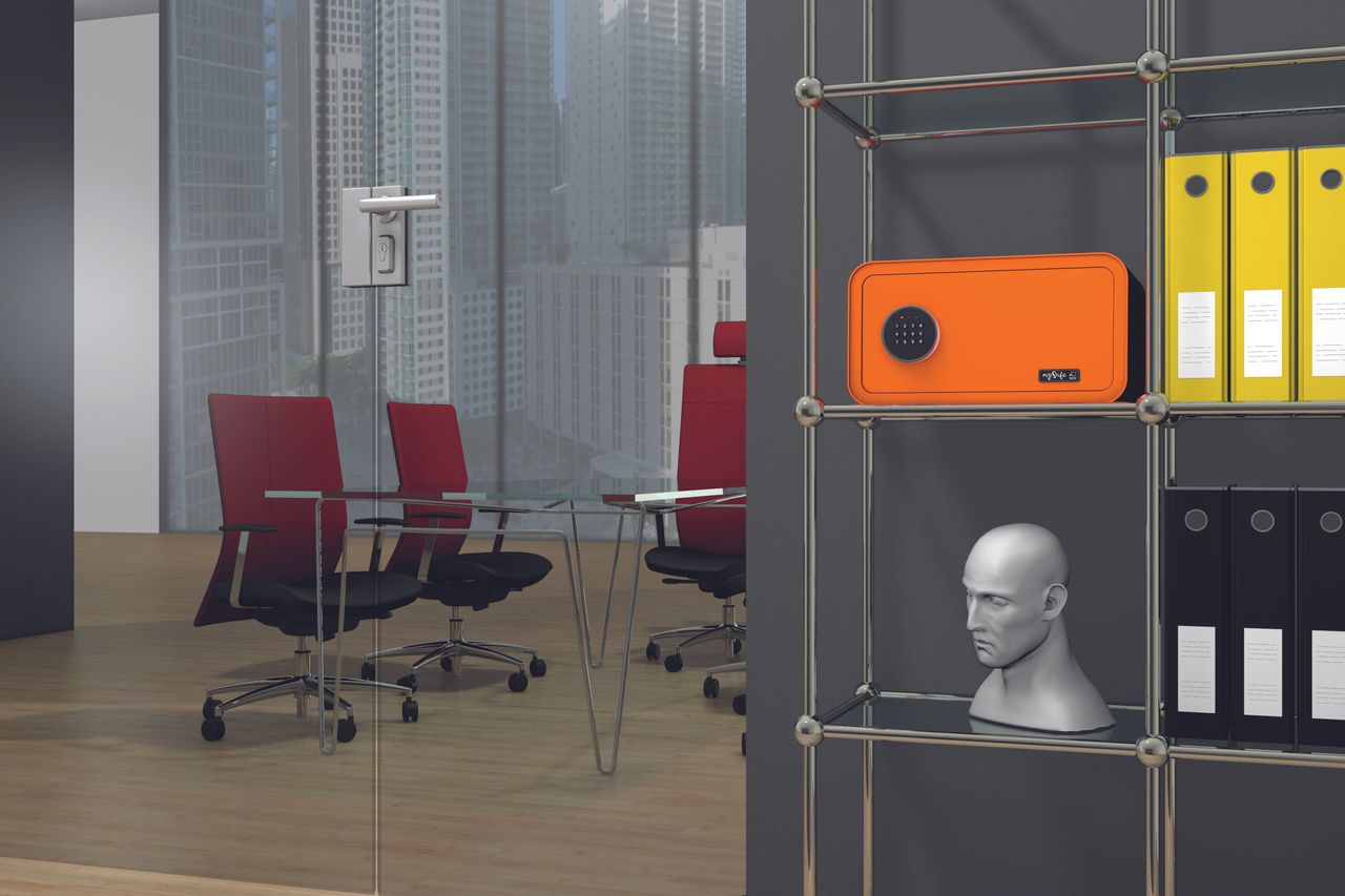Basi Tresor - mySafe BASI® 430