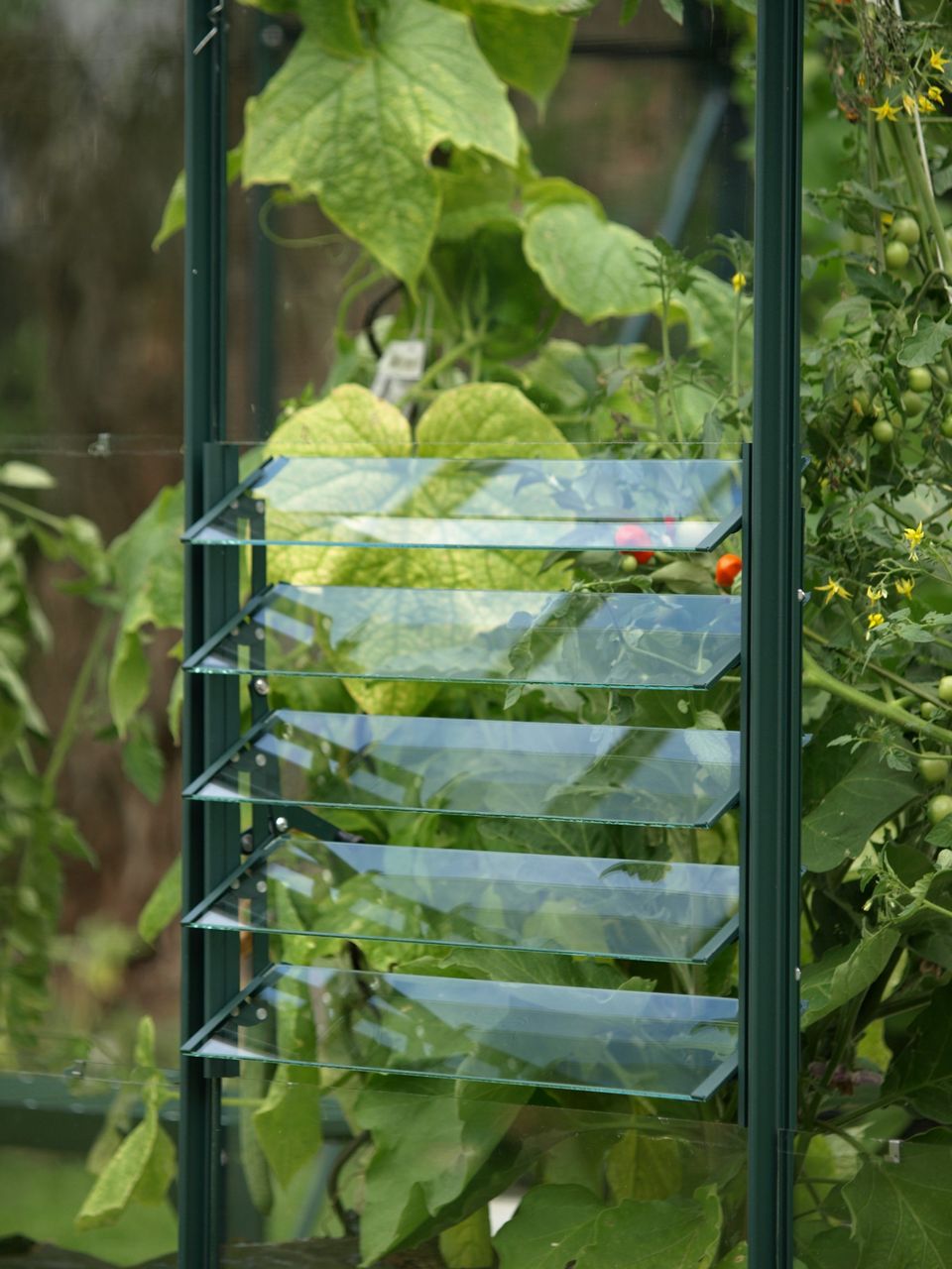 Vitavia Lamellen-Wandfenster, grün, mit ESG