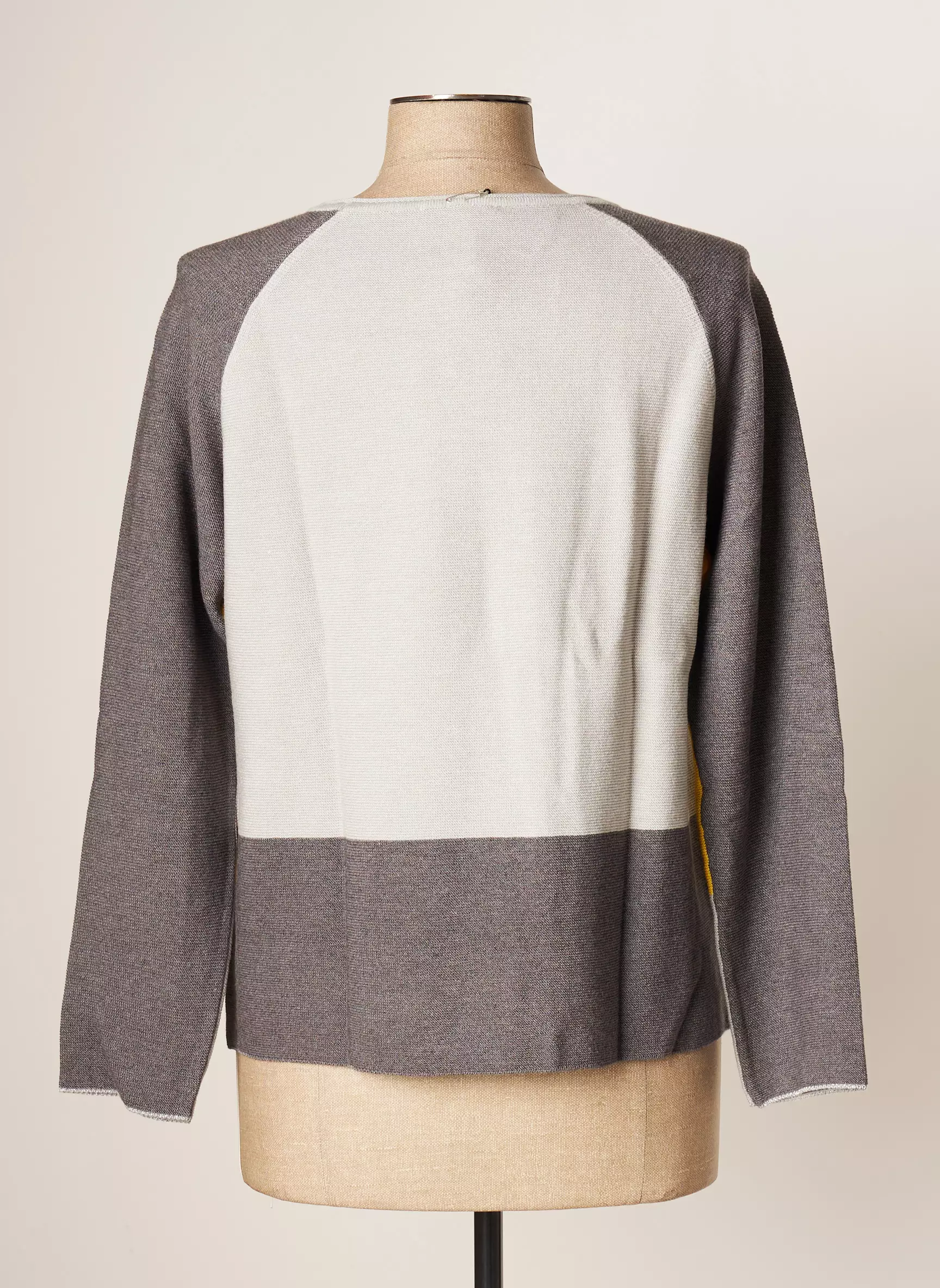 Thomas Rabe Pulls Femme couleur gris