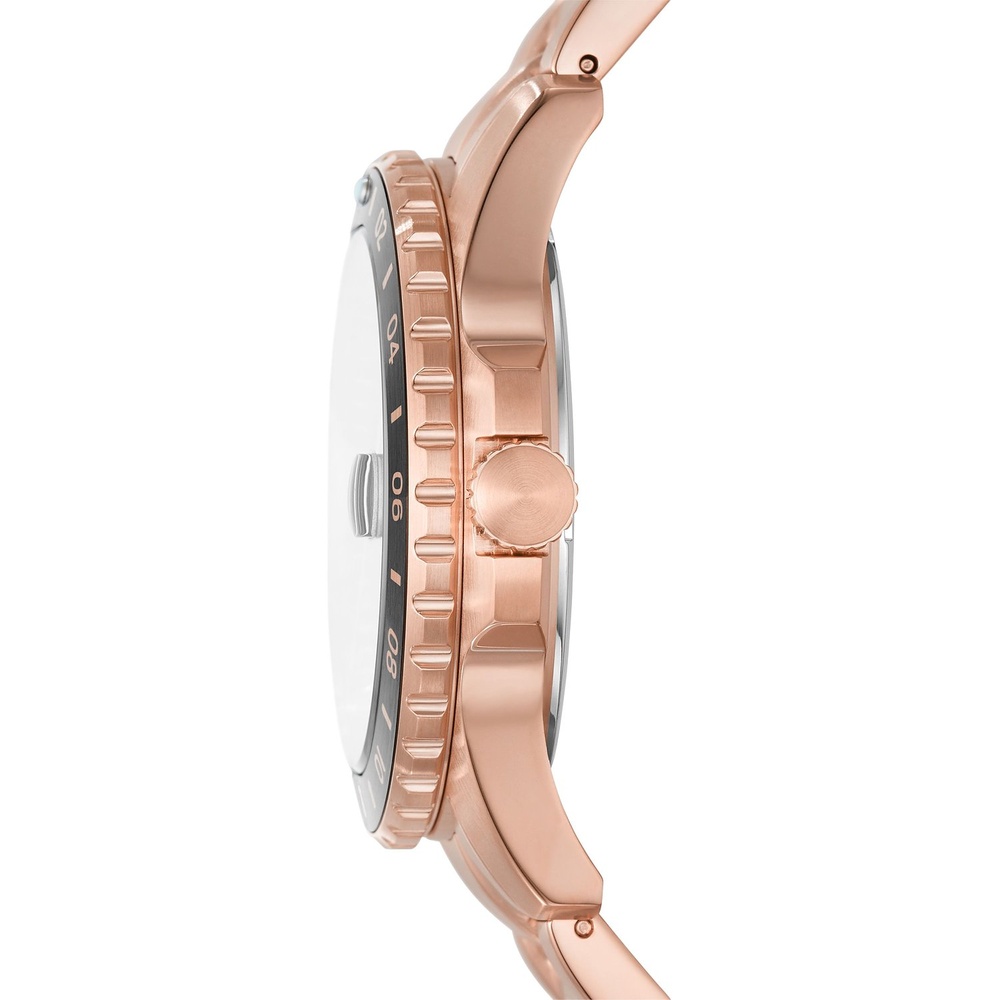 Fossil Montre pour hommes Acier inoxydable Montre