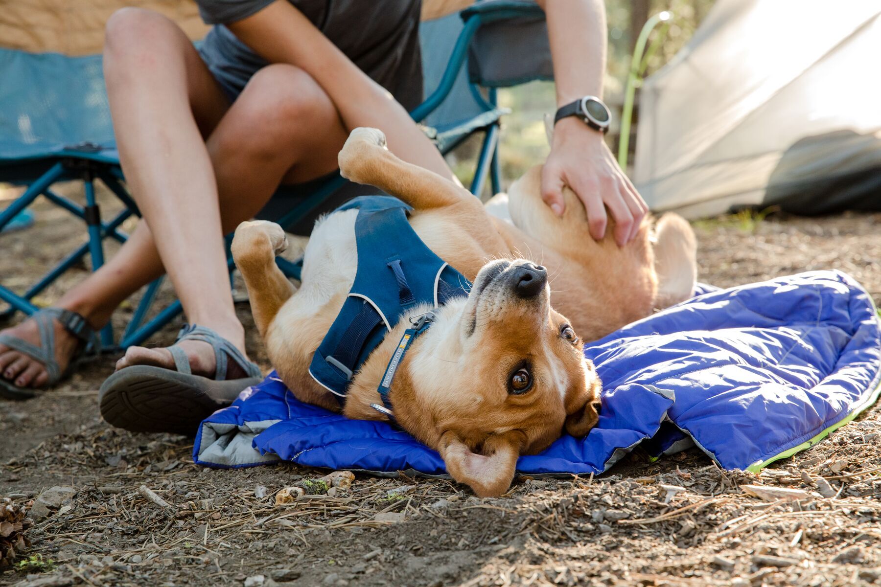 Ruffwear Hundehöhlen Ruffwear Highlands™ Schlafsack M