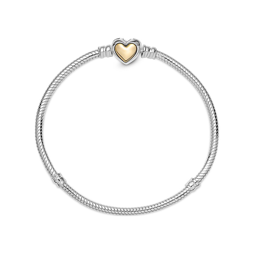 Pandora Armband Moments