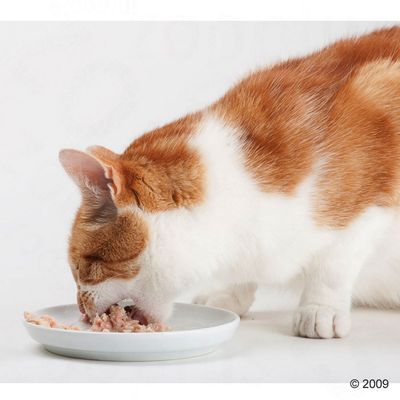 Sparpaket Almo Nature HFC Natural 24 x 140 g