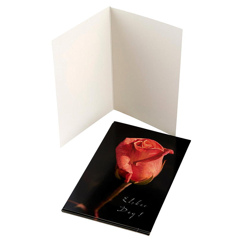Kort en rød rose