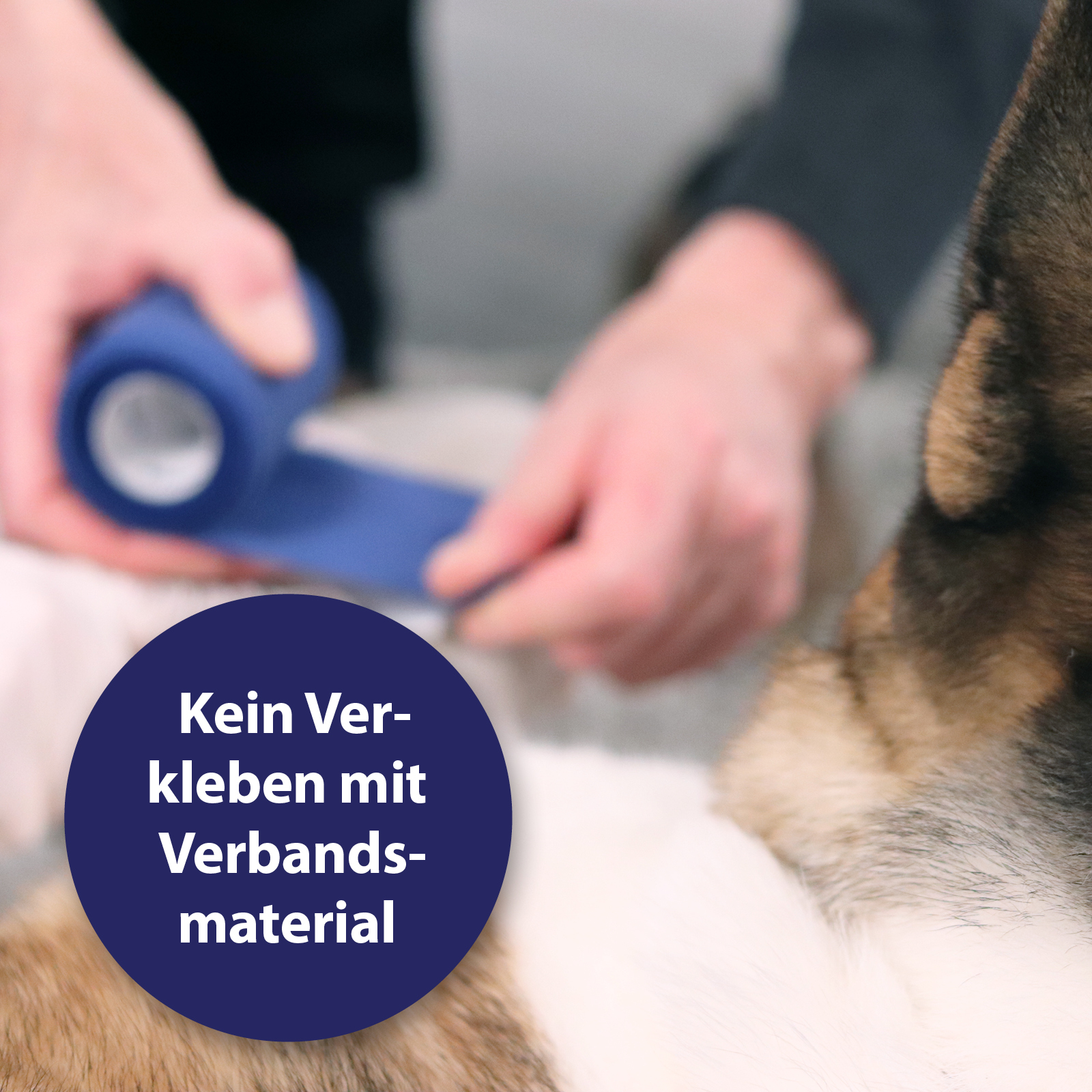 Canosept Pfotenpflege Canosept Wundgel für Hunde 20 ml