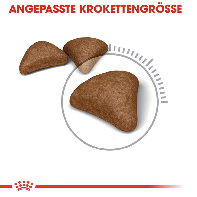 ROYAL CANIN Trockenfutter ROYAL CANIN Hairball Care 2x10 kg