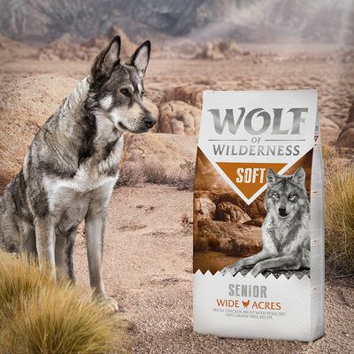 Wolf of Wilderness Senior 