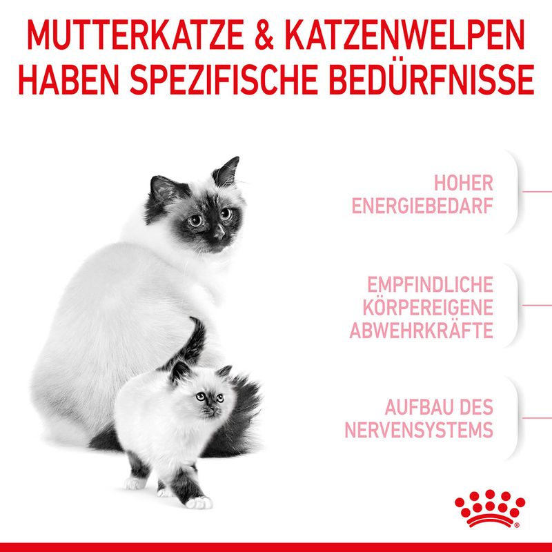 Royal Canin Mother & Babycat zu TOP-Preisen