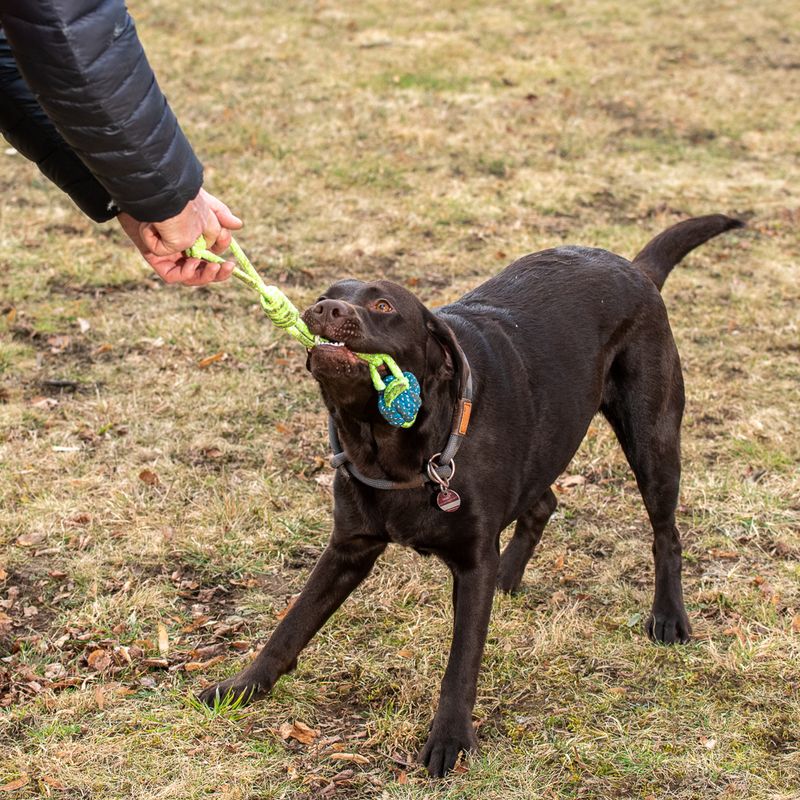 Hundespielzeug Limoen Seil & Ball zu TOP-Preisen