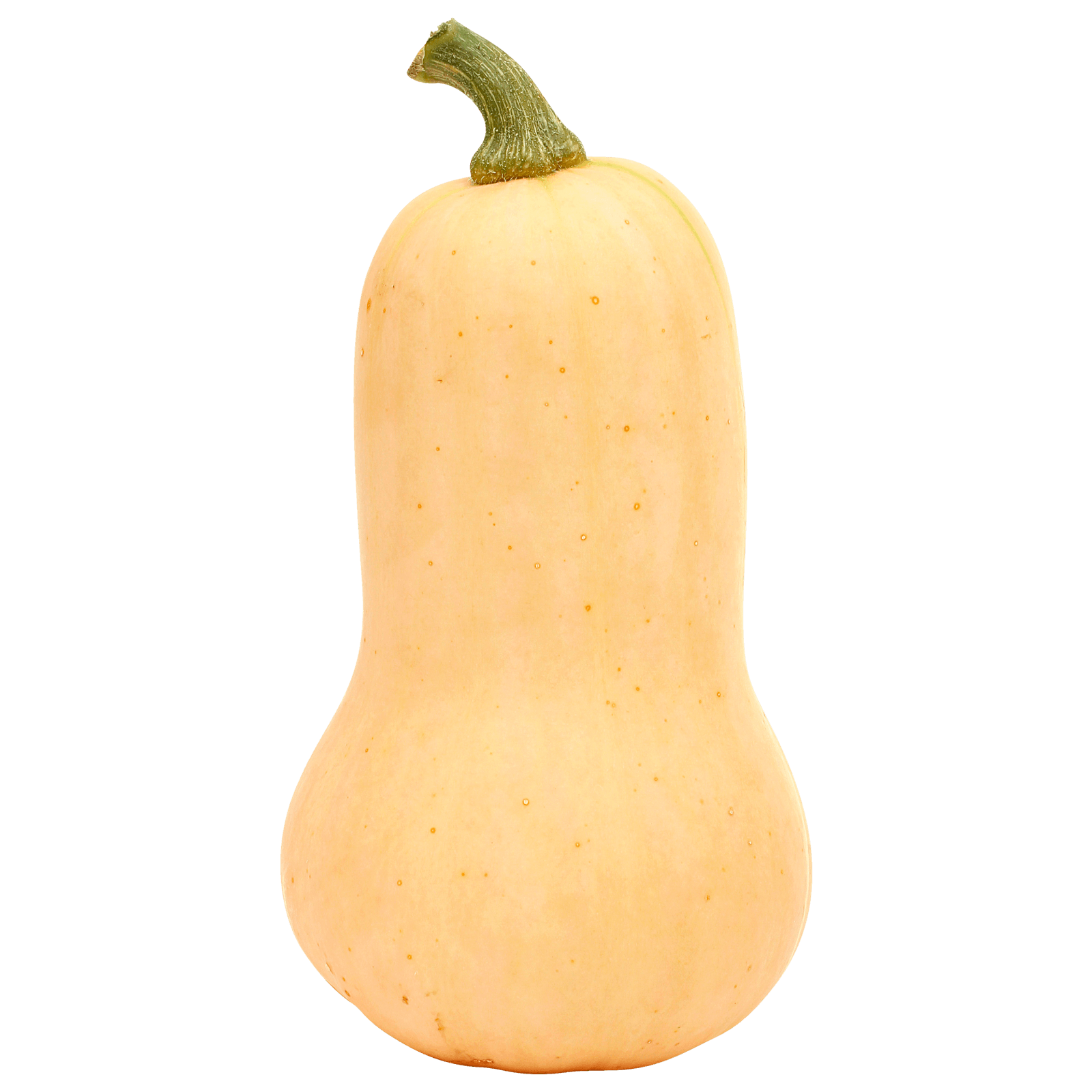 Butternut Speisekürbis ca. 1kg