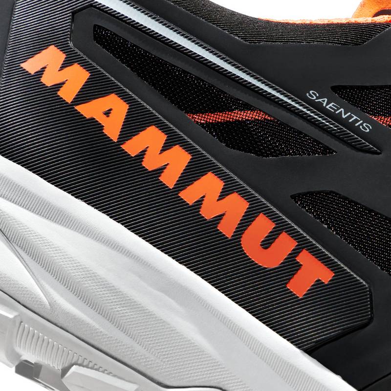 Mammut Saentis Low GTX Multifunktionsschuhe Herren