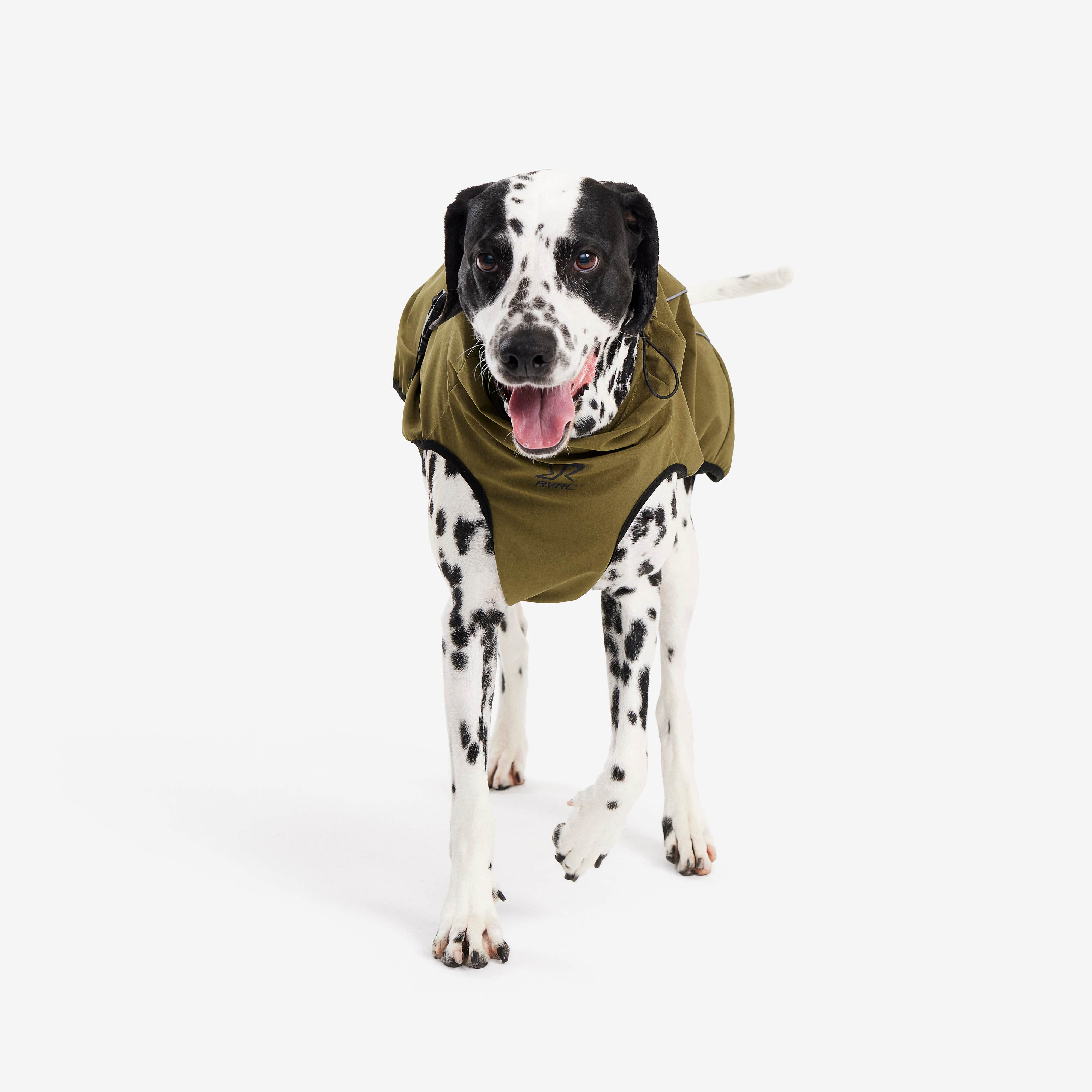 Cyclone Dog Jacket Chien Dark Olive