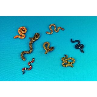 Snakes!