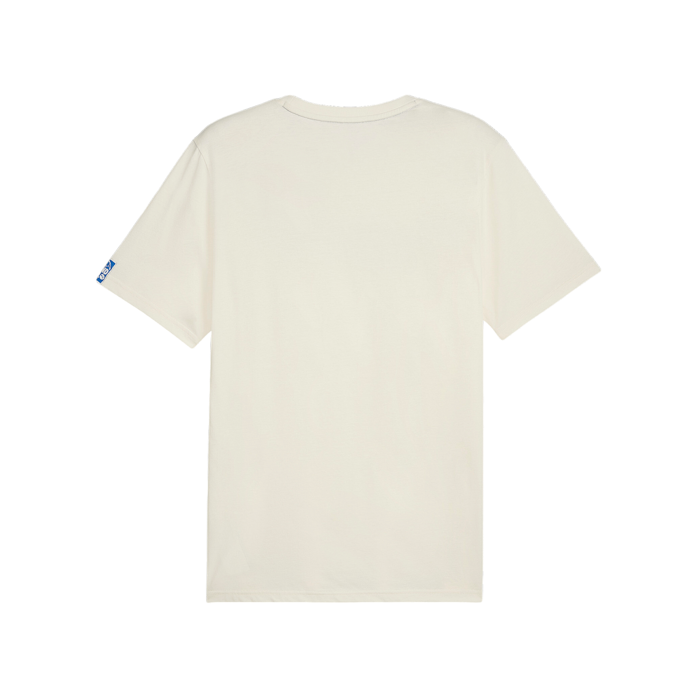 PUMA Handball T-Shirt Braun Schwarz F08