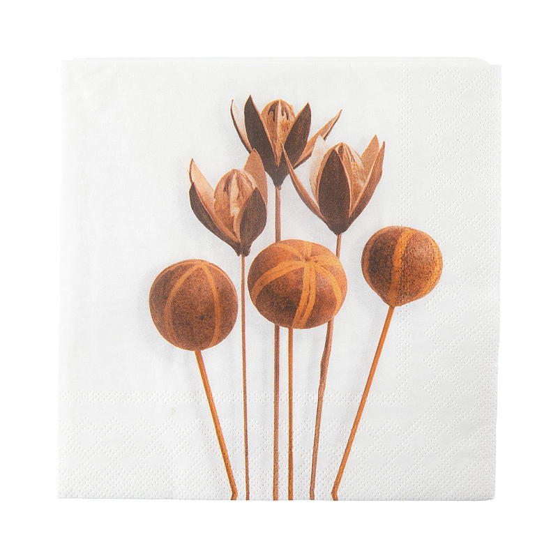 Vie Eco Servietter 20-pk 33x33 cm, Høst