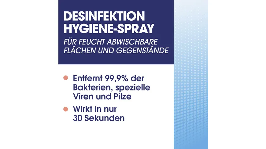 Sagrotan Hygiene Pumpspray 250 ml 250 ml