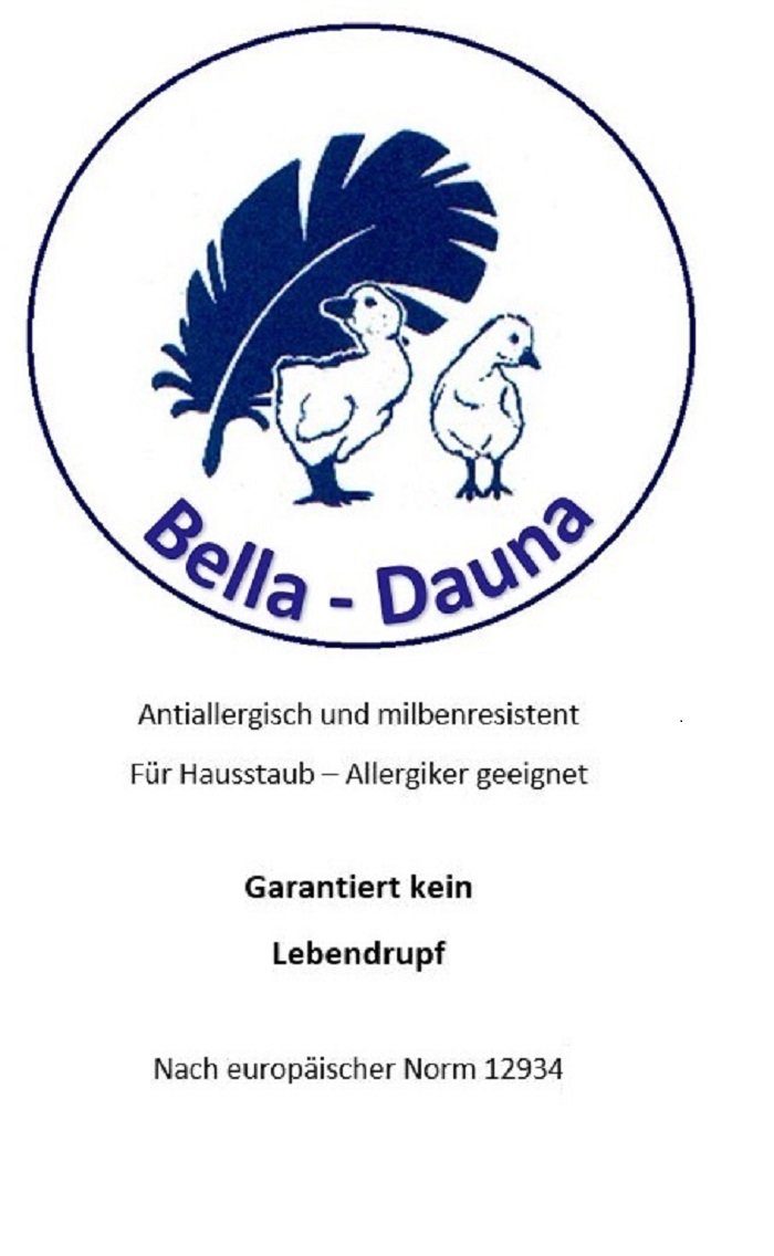 4-Jahreszeitenbett, Set leichte Ganzjahresdecke Daunendecke Bettdecke 4x6 135x200 + Kissen, Betten Hofmann, Füllung: 900g neue can. silberweiße Daunen, Klasse 1 (90% Daunen/ 10% Federn)